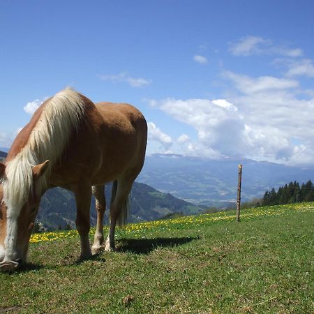 Bauernhof Pension Juri Obergösel Exteriér fotografie