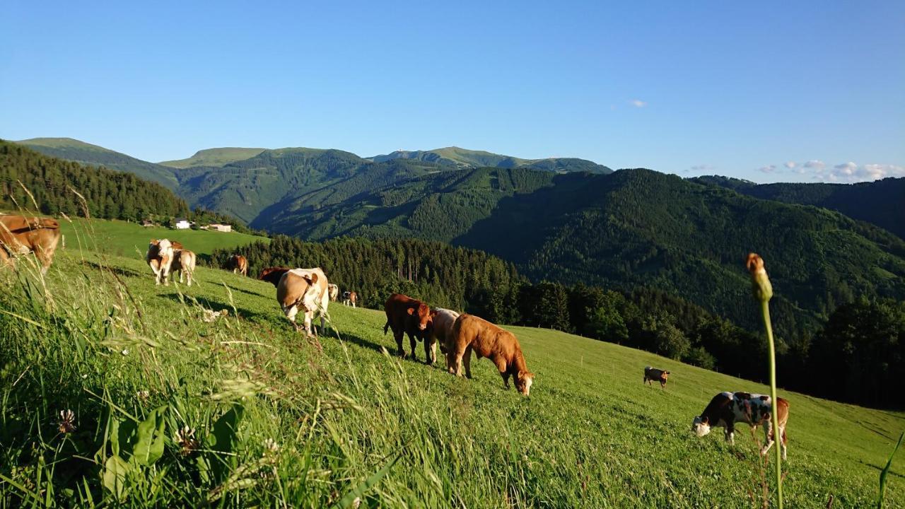Bauernhof Pension Juri Obergösel Exteriér fotografie