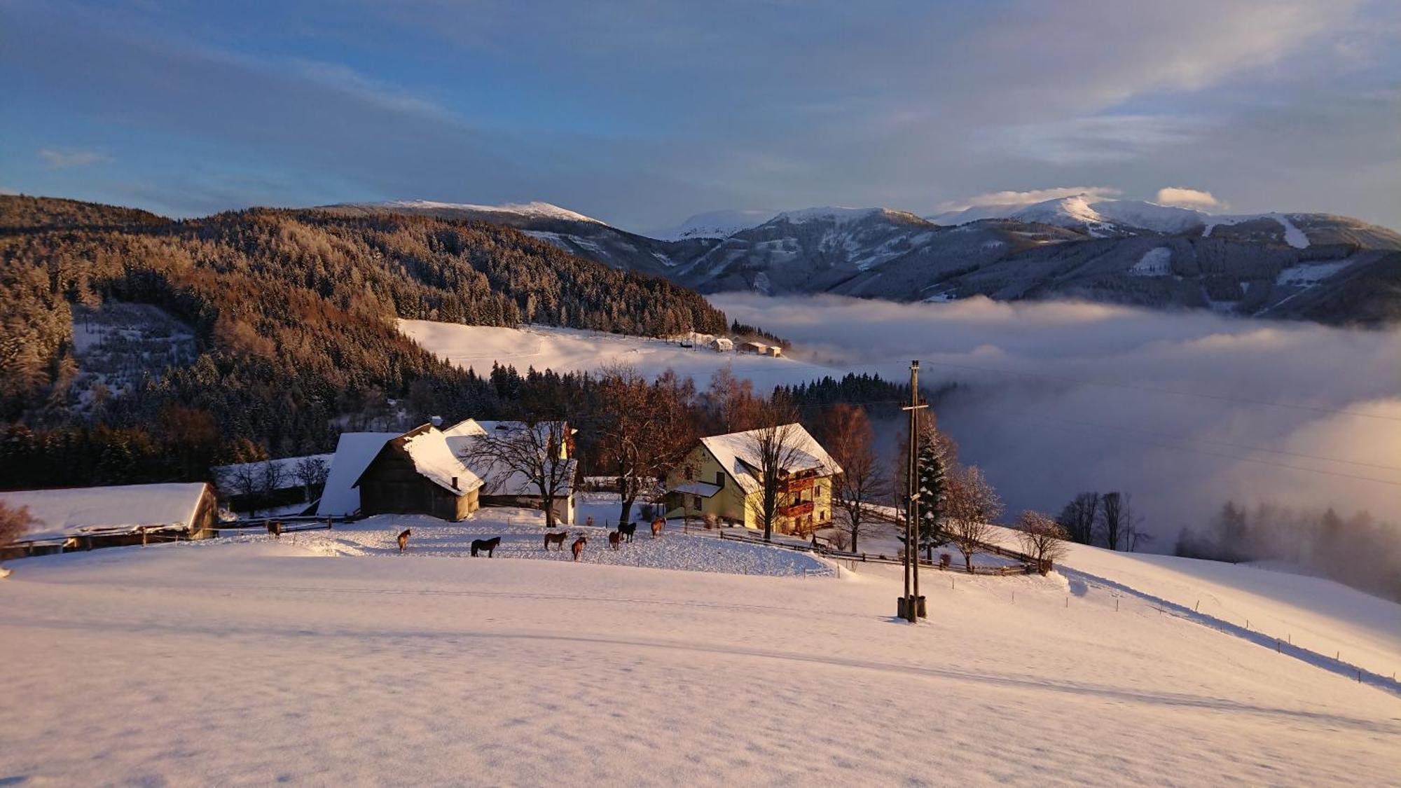 Bauernhof Pension Juri Obergösel Exteriér fotografie