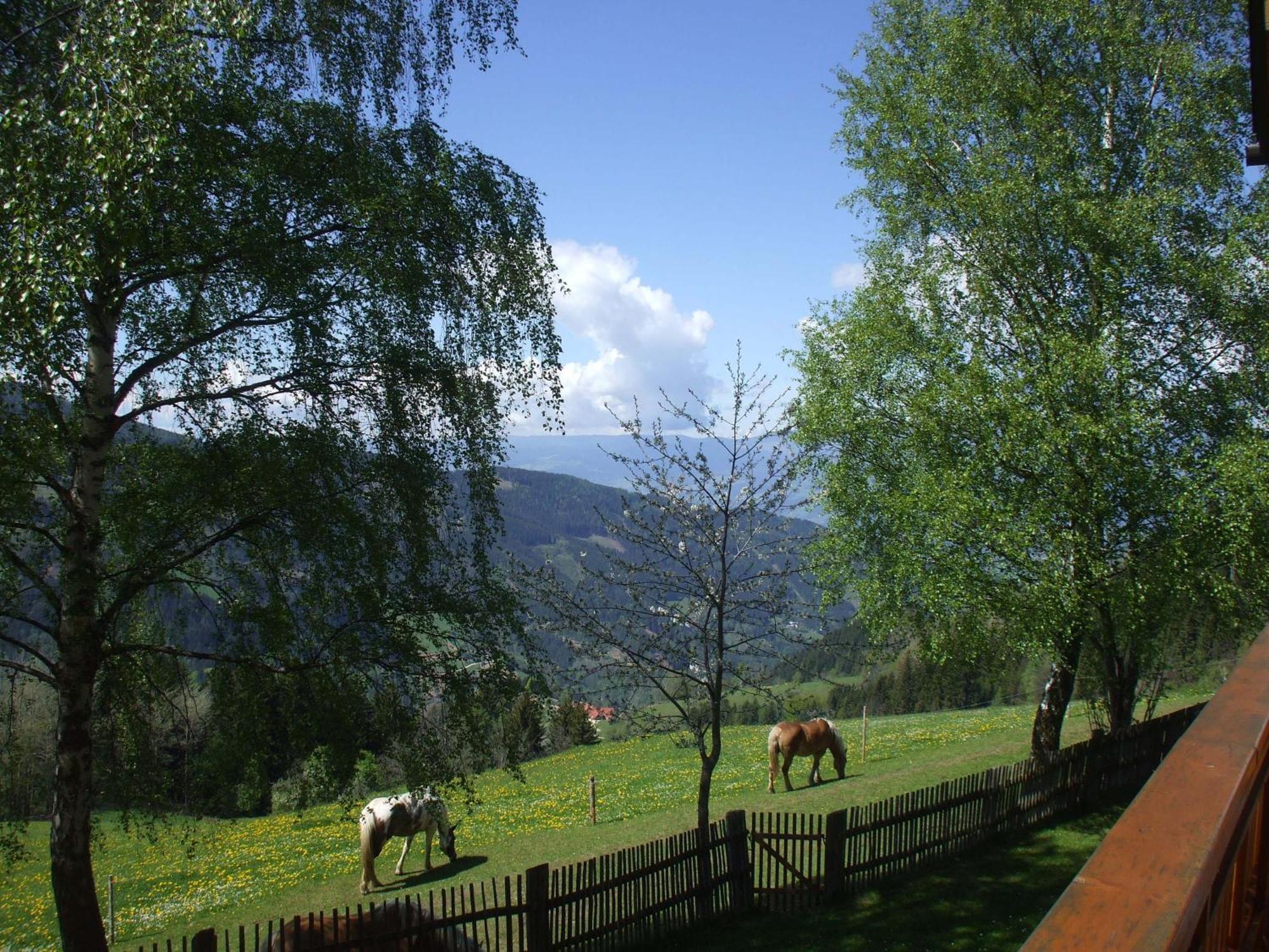 Bauernhof Pension Juri Obergösel Exteriér fotografie
